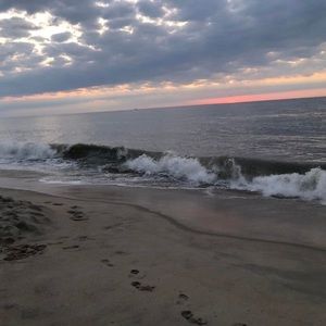 Meet your Posher, Carole